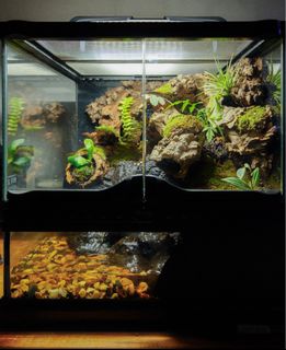 (Category: ) located in . Submitted by JoeyC. (Listing ID 1449457412, Image 1). Description: .