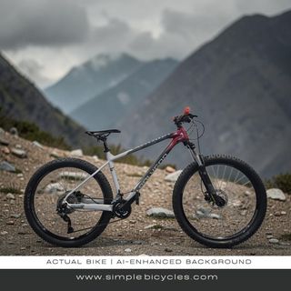 (Category: ) located in . Submitted by simplebicycles.com (Listing ID 1451640108, Image 1). Description: .