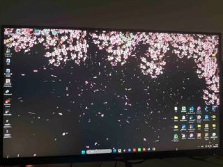 (Category: ) located in . Submitted by paynetim (Listing ID 1451663608, Image 1). Description: .