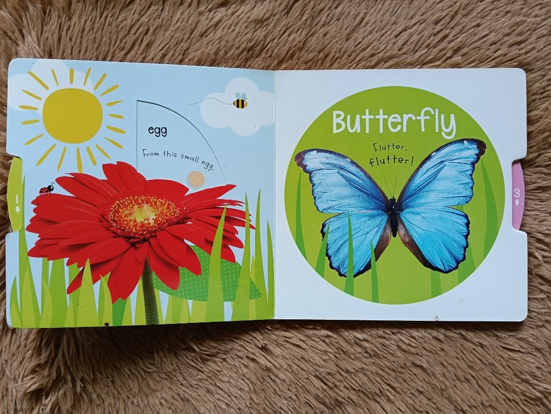 Scholastic First Steps Turn to Learn Watch Me Grow! Board Book (interactive) (Category: Children's Books) located in Las Pinas. Submitted by prelovedreads1 (Listing ID 1451630144, Image 2). Description: - Interactive board book teaching the butterfly life cycle. - Follows the journey from chick hatching to egg, caterpillar, chrysalis, and butterfly. - Features easy-to-turn tabs for little hands. - Ideal for young children learning about nature. -