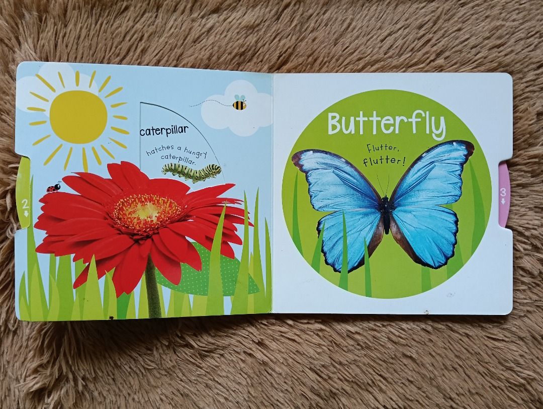 Scholastic First Steps Turn to Learn Watch Me Grow! Board Book (interactive) (Category: Children's Books) located in Las Pinas. Submitted by prelovedreads1 (Listing ID 1451630144, Image 3). Description: - Interactive board book teaching the butterfly life cycle. - Follows the journey from chick hatching to egg, caterpillar, chrysalis, and butterfly. - Features easy-to-turn tabs for little hands. - Ideal for young children learning about nature. -