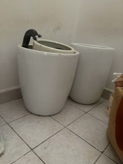 (Category: ) located in . Submitted by franksg1 (Listing ID 1451645306, Image 1). Description: .