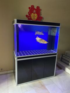 (Category: ) located in . Submitted by bentan004343904 (Listing ID 1451541638, Image 1). Description: .