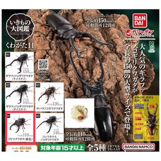 由 jc1069 (刊登 ID 1451858037，圖片 1) 提交，位於 的 (類別：)，說明：。