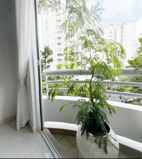 (Category: ) located in . Submitted by elmosong_ (Listing ID 1451529058, Image 1). Description: .