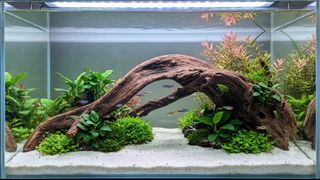 (Category: ) located in . Submitted by elmohi5 (Listing ID 1451799398, Image 1). Description: .