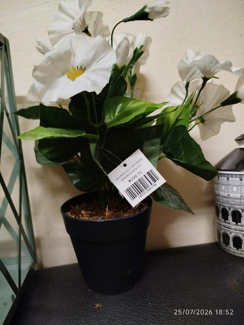 Artificial White Flower Plant in Black Pot (Category: Artificial Plants & Flowers) located in Quezon City. Submitted by chadrison (Listing ID 1451826313, Image 2). Description: - Cute artificial plant with white flowers and green leaves. - Comes in a simple black pot. - No watering needed – perfect for low-maintenance decor. - Original price tag still attached. - Great for desks, shelves, or small spaces..