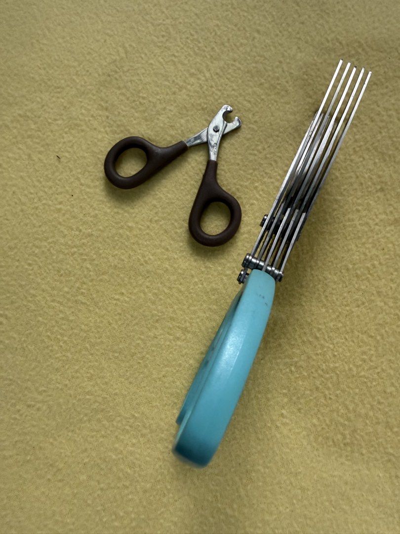 Assorted Scissors Set - Crafting, Kitchen, Pet Grooming (Category: Craft Supplies & Tools) located in Calamba. Submitted by transitory (Listing ID 1451756502, Image 3). Description: For Sale Japan Assorted Scissors Used but in good condition Take all price ₱300 No part out J&T or lalamove c/o buyer Calamba,Laguna location Pm or contact 09165870869 Salamat.