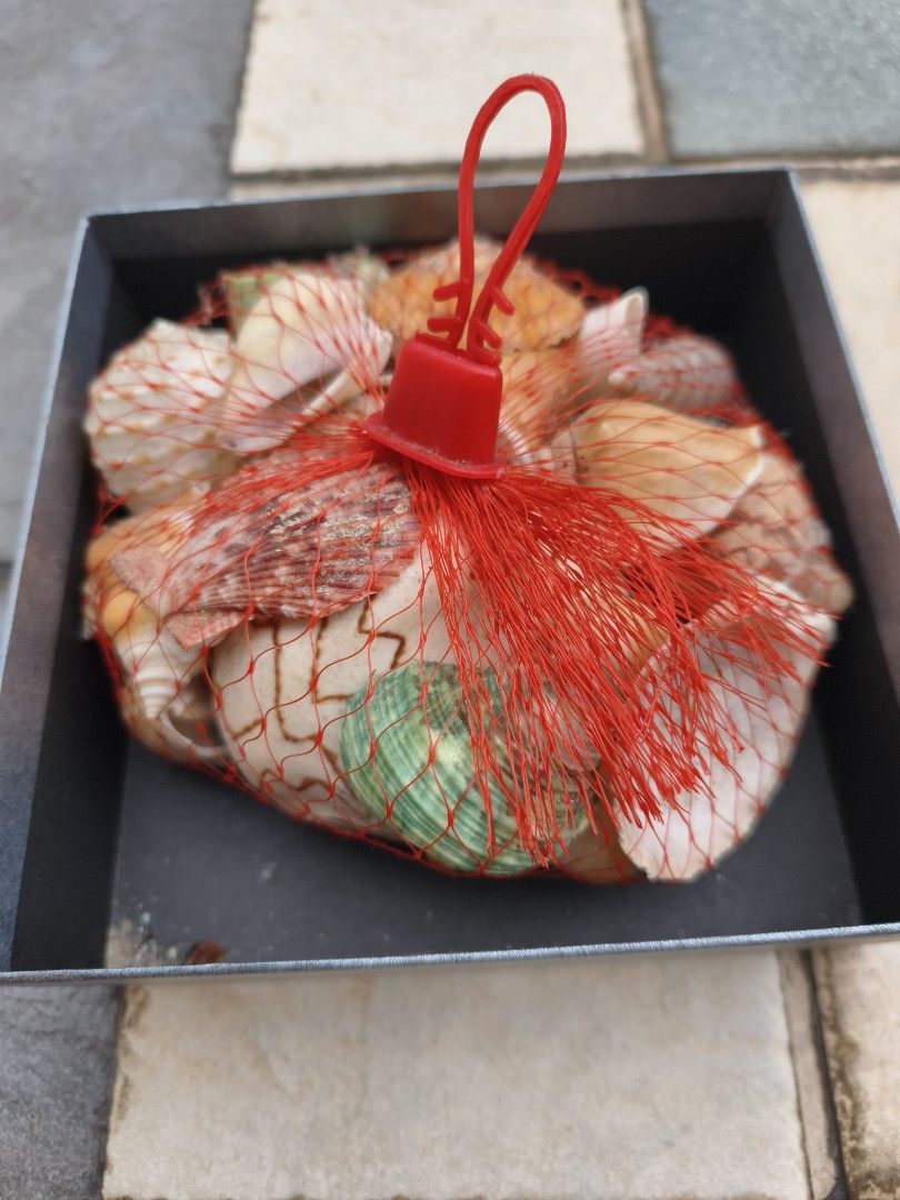 Assorted Seashells (Set A) (Category: Other Home Decor) located in Singapore. Submitted by oddsandbits (Listing ID 1451746159, Image 2). Description: - Bag of assorted common seashells - Comes in a red net bag with a plastic clip.