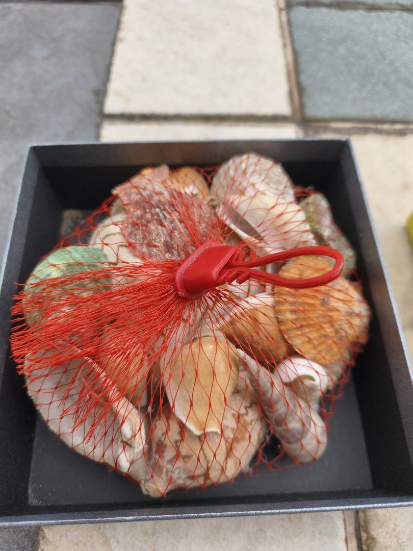 Assorted Seashells (Set A) (Category: Other Home Decor) located in Singapore. Submitted by oddsandbits (Listing ID 1451746159, Image 1). Description: - Bag of assorted common seashells - Comes in a red net bag with a plastic clip.