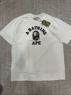 由 plantsthrift (刊登 ID 1451871846，圖片 1) 提交，位於 的 (類別：)，說明：。