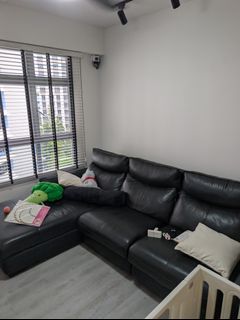 (Category: ) located in . Submitted by shauniified (Listing ID 1451778165, Image 1). Description: .