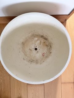（分類：）位於 。 由 sandrabryan 提交（商品編號 1451828984，圖片 1）。簡介： 。