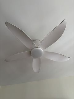 (Category: ) located in . Submitted by wng2102 (Listing ID 1451855847, Image 1). Description: .