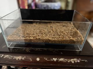 (Category: ) located in . Submitted by cayson89 (Listing ID 1451839443, Image 1). Description: .