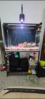(Category: ) located in . Submitted by andystrins (Listing ID 1451729635, Image 1). Description: .