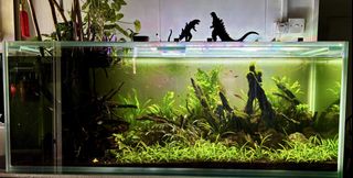 (Category: ) located in . Submitted by talentclub (Listing ID 1451796499, Image 1). Description: .