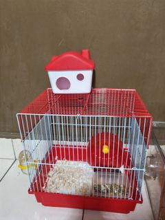 (Category: ) located in . Submitted by preloveduser (Listing ID 1451825761, Image 1). Description: .