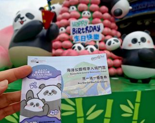 （分類：）位於 。 由 myfuture2023 提交（商品編號 1452003844，圖片 1）。簡介： 。