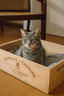 (Category: ) located in . Submitted by ecocrates (Listing ID 1451950575, Image 1). Description: .