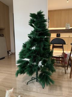 (Category: ) located in . Submitted by Maryanne (Listing ID 1451962006, Image 1). Description: .