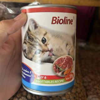 (Category: ) located in . Submitted by elizpetshop (Listing ID 1452077477, Image 1). Description: .