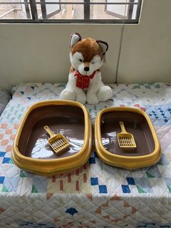 (Category: ) located in . Submitted by elizpetshop (Listing ID 1451931428, Image 1). Description: .