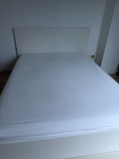 （分類：）位於 。 由 yukim39 提交（商品編號 1451908011，圖片 1）。簡介： 。