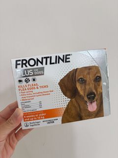 （分類：）位於 。 由 mt.sellnshare 提交（商品編號 1452045462，圖片 1）。簡介： 。