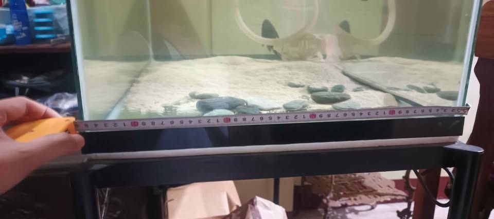 Large Glass Aquarium Tank with Filter/Accessories (Category: Homes & Other Pet Accessories) located in Caloocan City. Submitted by luckyforest_e5a8c0 (Listing ID 1451993007, Image 1). Description: - Large glass aquarium tank - in Approximate dimensions: standard 50 Gallon: 36" L x 18" W x 19" H (approx. 91 x 46 x 48 cm). - Includes filter system - stand included - Ideal for big fish, goldfish or other small fish - Ready for a new home - fyi check