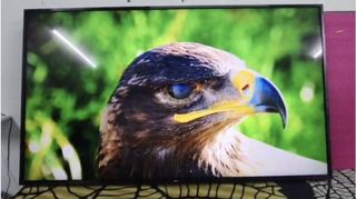 (Category: ) located in . Submitted by archi_thriftstore (Listing ID 1451919516, Image 1). Description: .
