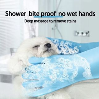 (Category: ) located in . Submitted by elizpetshop (Listing ID 1451939597, Image 1). Description: .