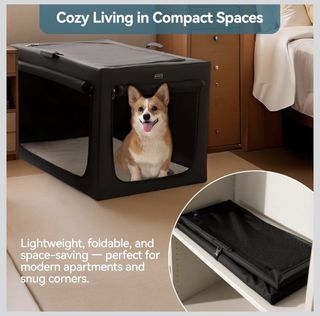 (Category: ) located in . Submitted by euphoricbuzz (Listing ID 1451916182, Image 1). Description: .