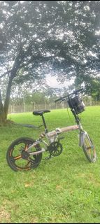 (Category: ) located in . Submitted by erjunhong814656 (Listing ID 1451908771, Image 1). Description: .