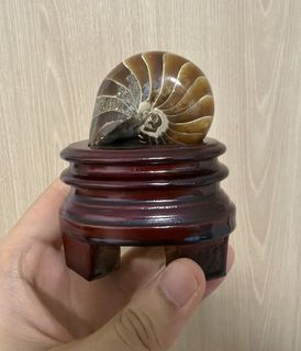 (Category: ) located in . Submitted by ric_4861 (Listing ID 1451935681, Image 1). Description: .