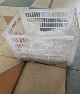 (Category: ) located in . Submitted by glhglh (Listing ID 1451919445, Image 1). Description: .