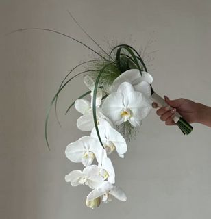 (Category: ) located in . Submitted by flowerandyou (Listing ID 1452268407, Image 1). Description: .