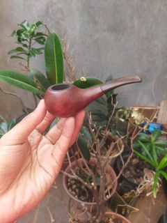 (Kategori: ) berada di . Dikirim oleh barloak (ID iklan 1452236332, Gambar 1). Deskripsi: .