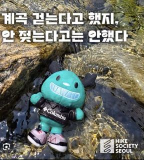 （分類：）位於 。 由 domi.select 提交（商品編號 1452252099，圖片 1）。簡介： 。