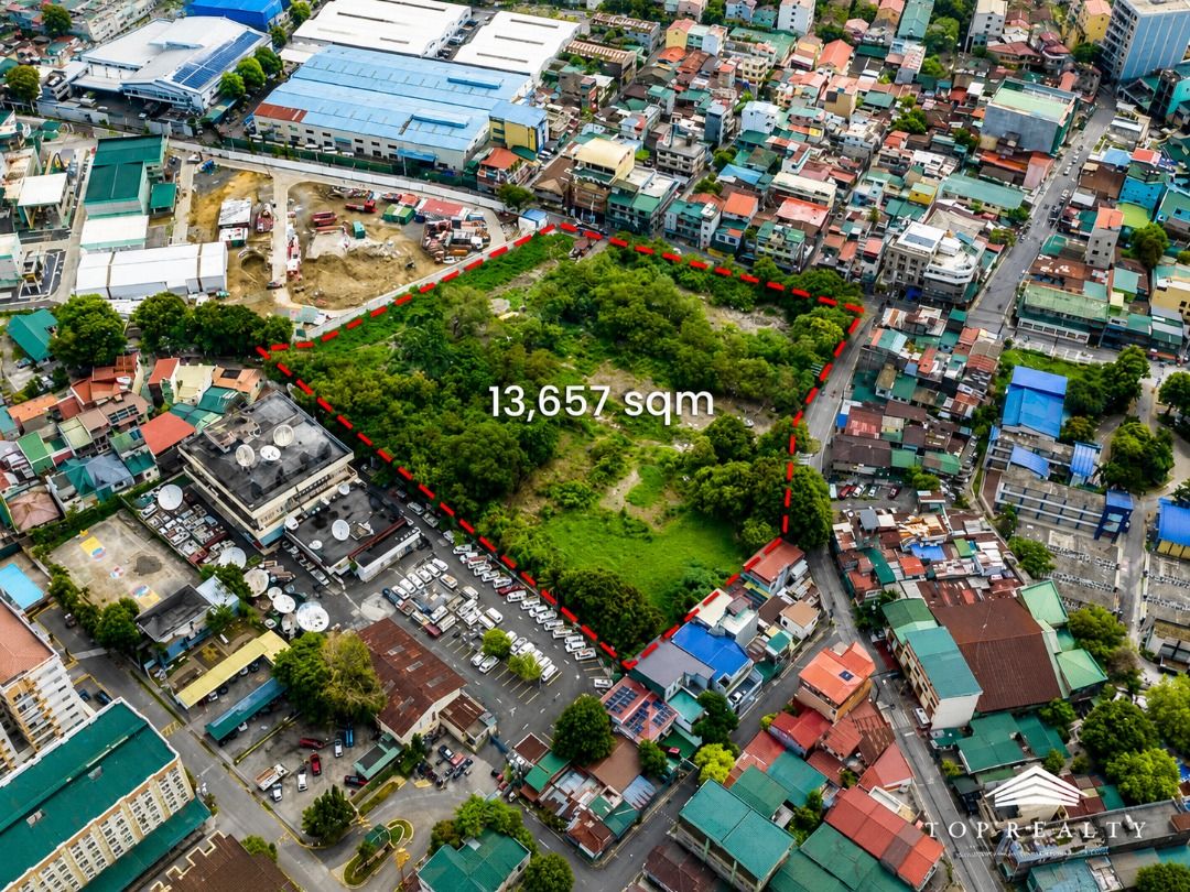 Commercial Lots for Lease in Mandaluyong City Near. EDSA, Property ...