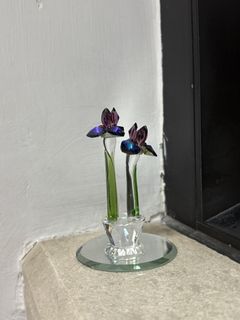 （分類：）位於 。 由 pianistfish 提交（商品編號 1452237834，圖片 1）。簡介： 。