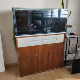 (Category: ) located in . Submitted by cz_carousel (Listing ID 1452180615, Image 1). Description: .
