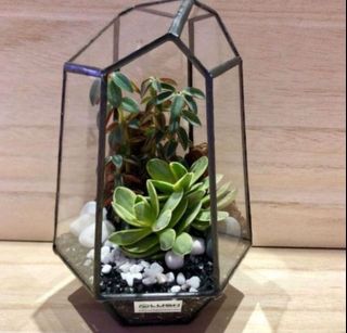 (Category: ) located in . Submitted by lushglassdoor (Listing ID 1452157768, Image 1). Description: .