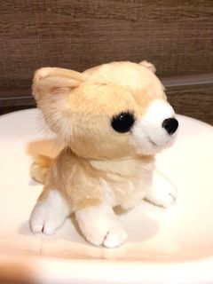 （分類：）位於 。 由 goodseverything 提交（商品編號 1451506770，圖片 1）。簡介： 。