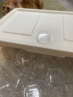 （分類：）位於 。 由 Dan3301 提交（商品編號 1452351545，圖片 1）。簡介： 。