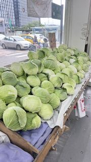 由 zentu (刊登 ID 1452430383，圖片 1) 提交，位於 的 (類別：)，說明：。
