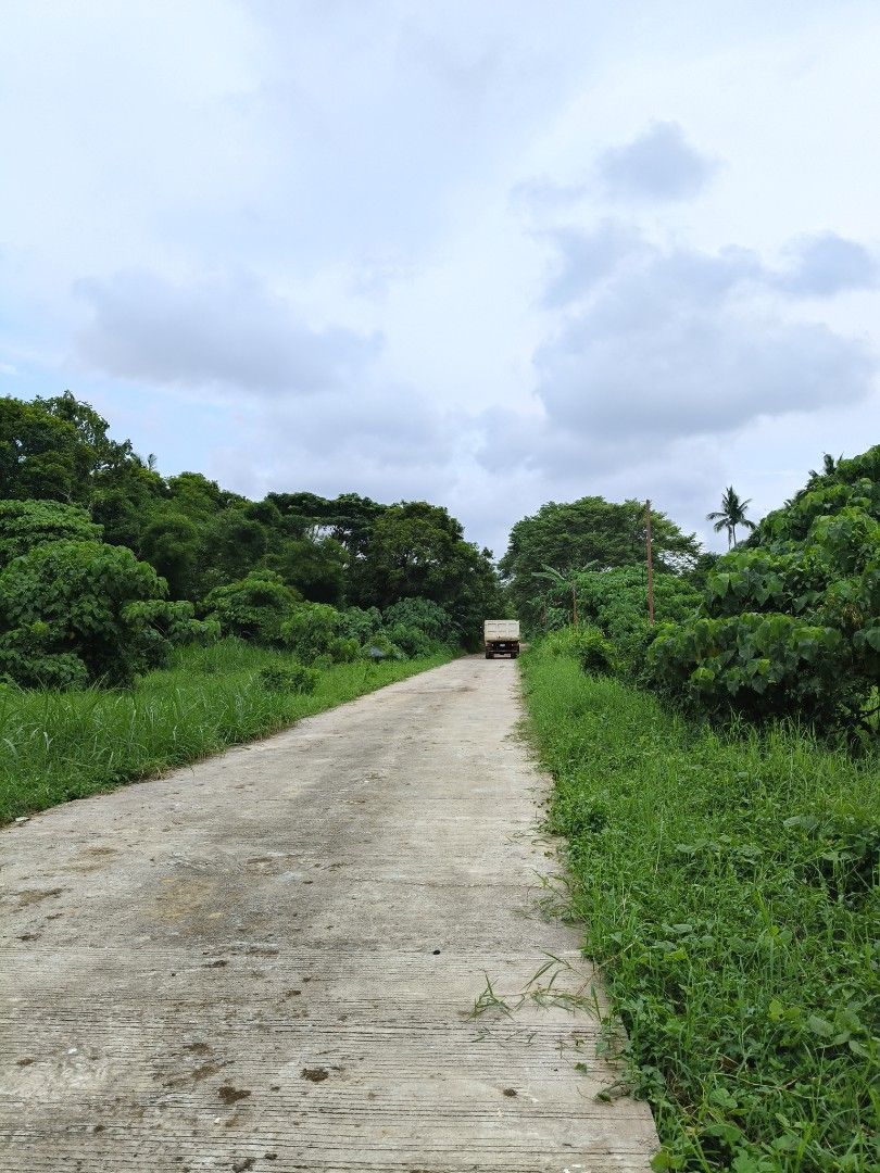 Affordable Lot in Alfonso Cavite (Category: Lot) located in Manila. Submitted by jjmorealty (Listing ID 1452360373, Image 3). Description: 6.3k per sqm 250 sqm 8mins away from tagaytay.