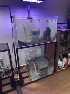 (Category: ) located in . Submitted by matthewchew (Listing ID 1452450962, Image 1). Description: .