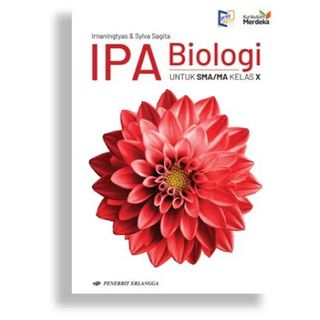 (Kategori: ) berada di . Dikirim oleh linsi02 (ID iklan 1452466718, Gambar 1). Deskripsi: .