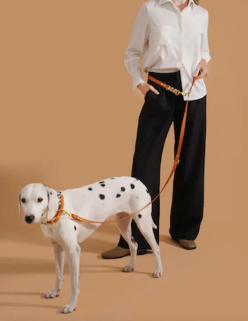 Dog Hands free leash and collar (Category: Homes & Other Pet Accessories) located in Quezon City. Submitted by the-find (Listing ID 1452481199, Image 1). Description: Leash can we worn across the body and around the waist like a belt. Includes collar Dark Green and brown color available. Original price is 880..